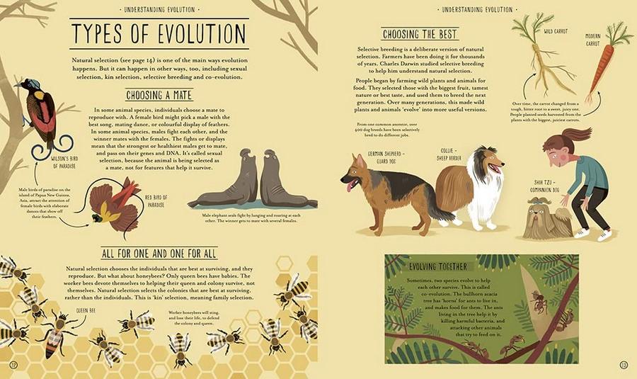 Amazing Evolution - The Journey Of Life - Little Reef and Friends