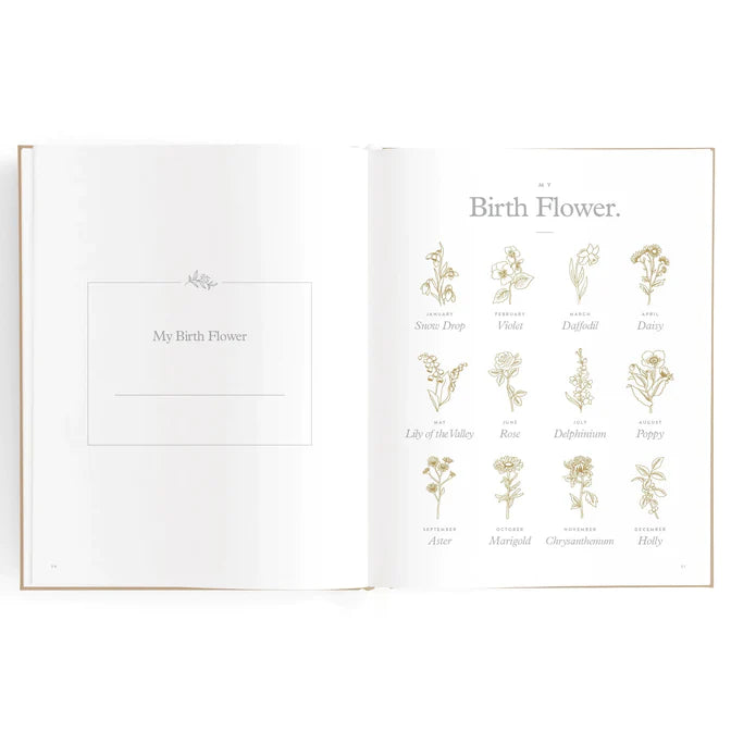 Baby, Birth To 6 Years Journal - Biscuit - Little Reef and Friends