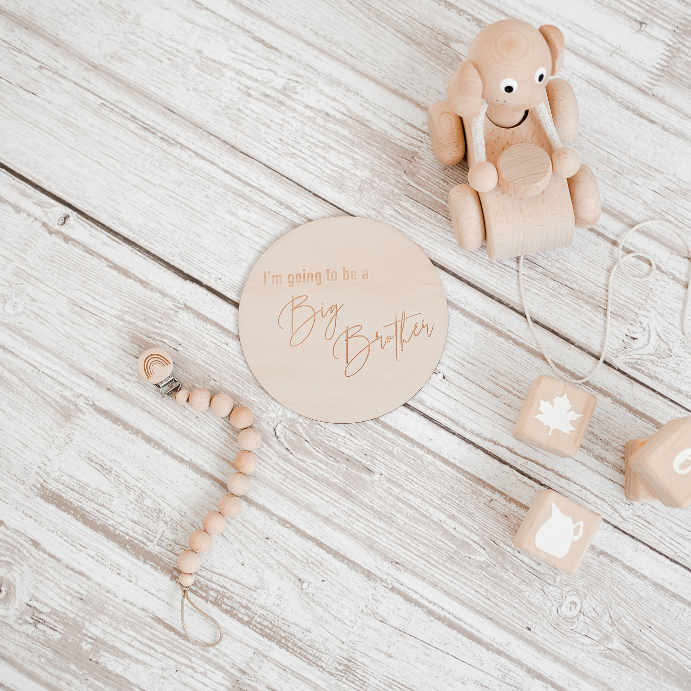 Wooden Big Brother Announcement Disc - Little Reef and Friends