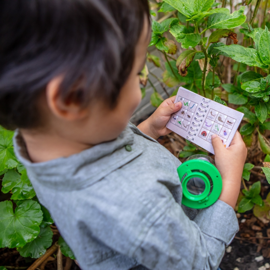 Bug Spotter Kit - Little Reef and Friends