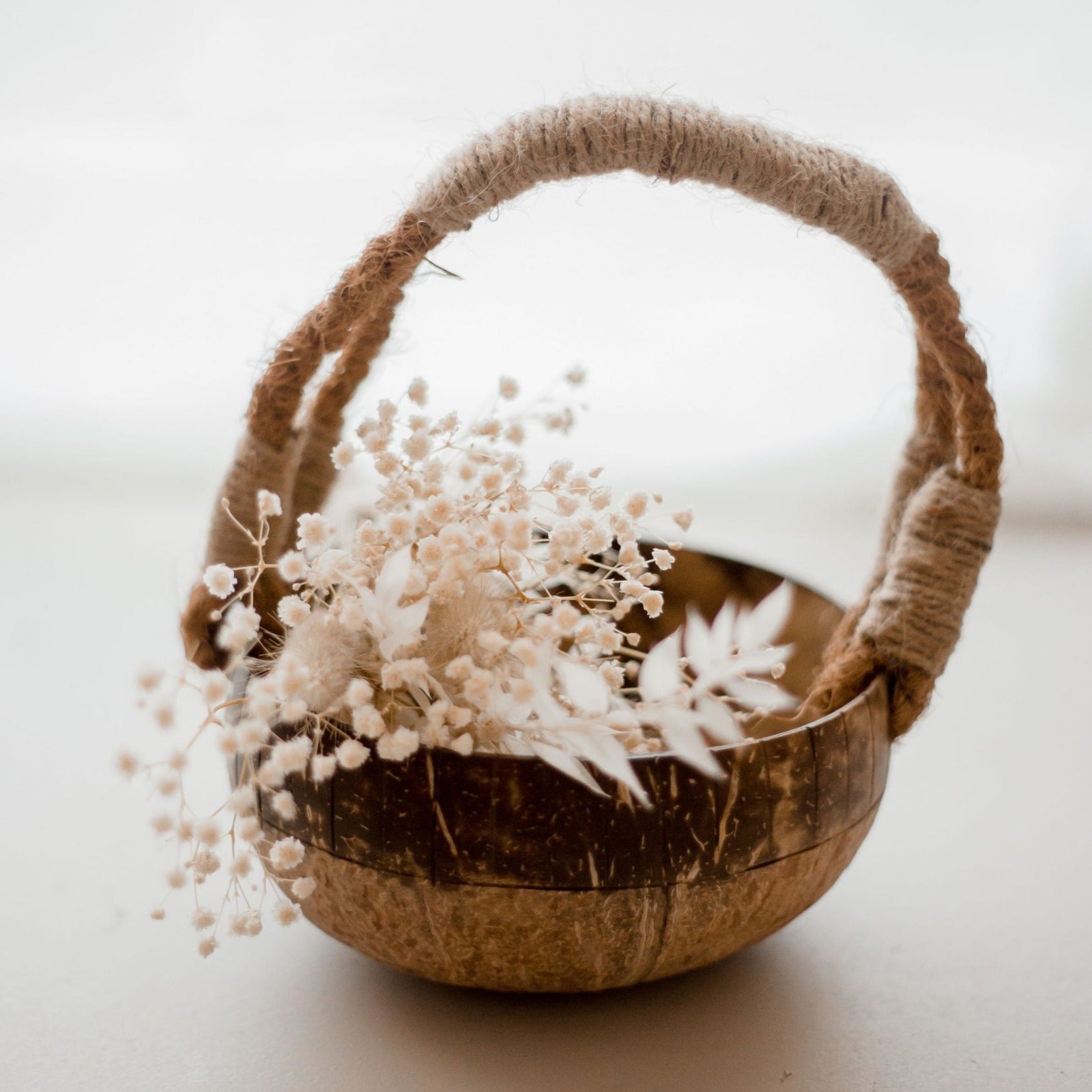 Coconut Basket - Little Reef and Friends
