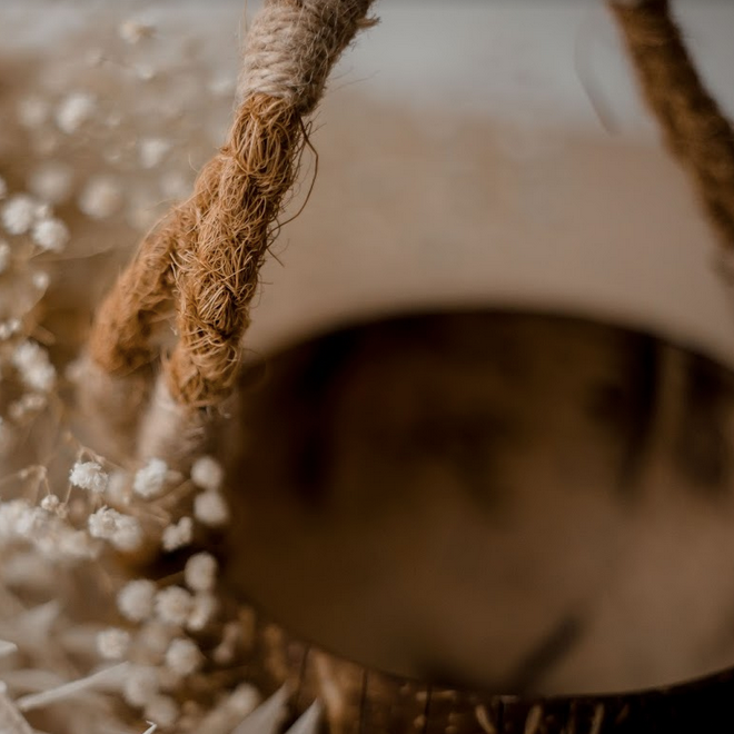 Coconut Basket - Little Reef and Friends