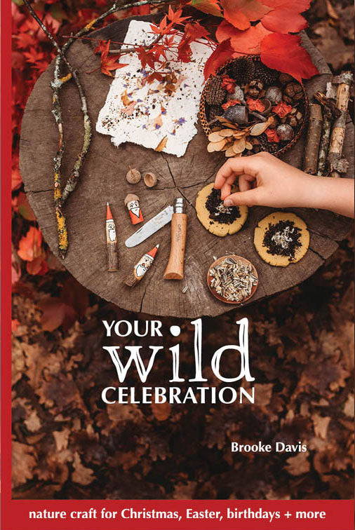 Your Wild Celebration - Little Reef and Friends