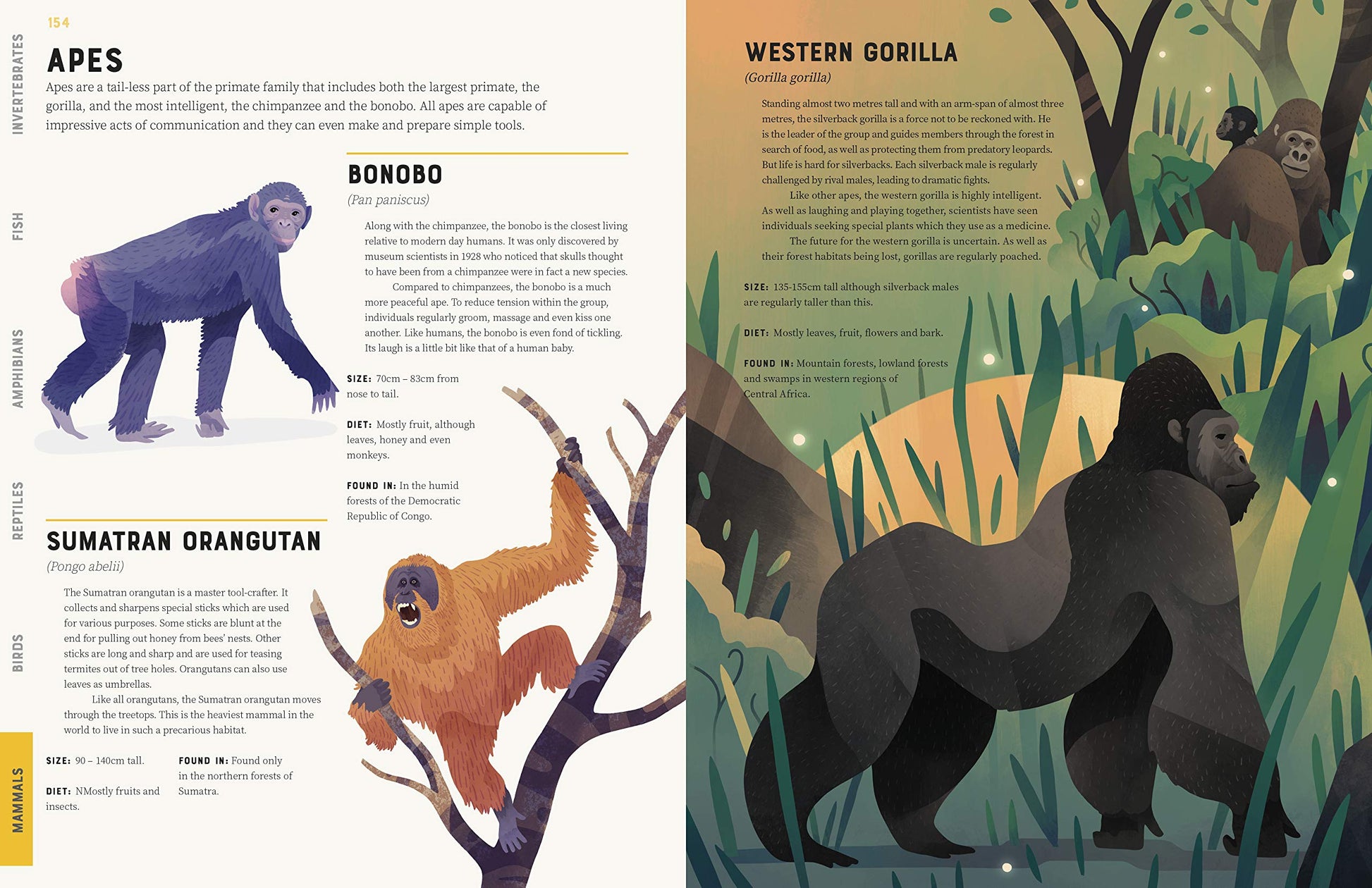 Encyclopedia of Animals - Little Reef and Friends
