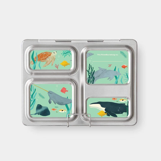 Launch Lunch Box Magnets - Little Reef and Friends
