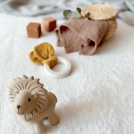 My First Safari Animals Bath Toy & Rattle - Lion - Little Reef and Friends
