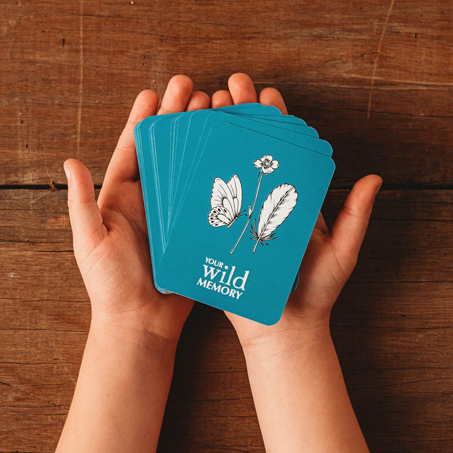Your Wild Memory Card Game - Little Reef and Friends