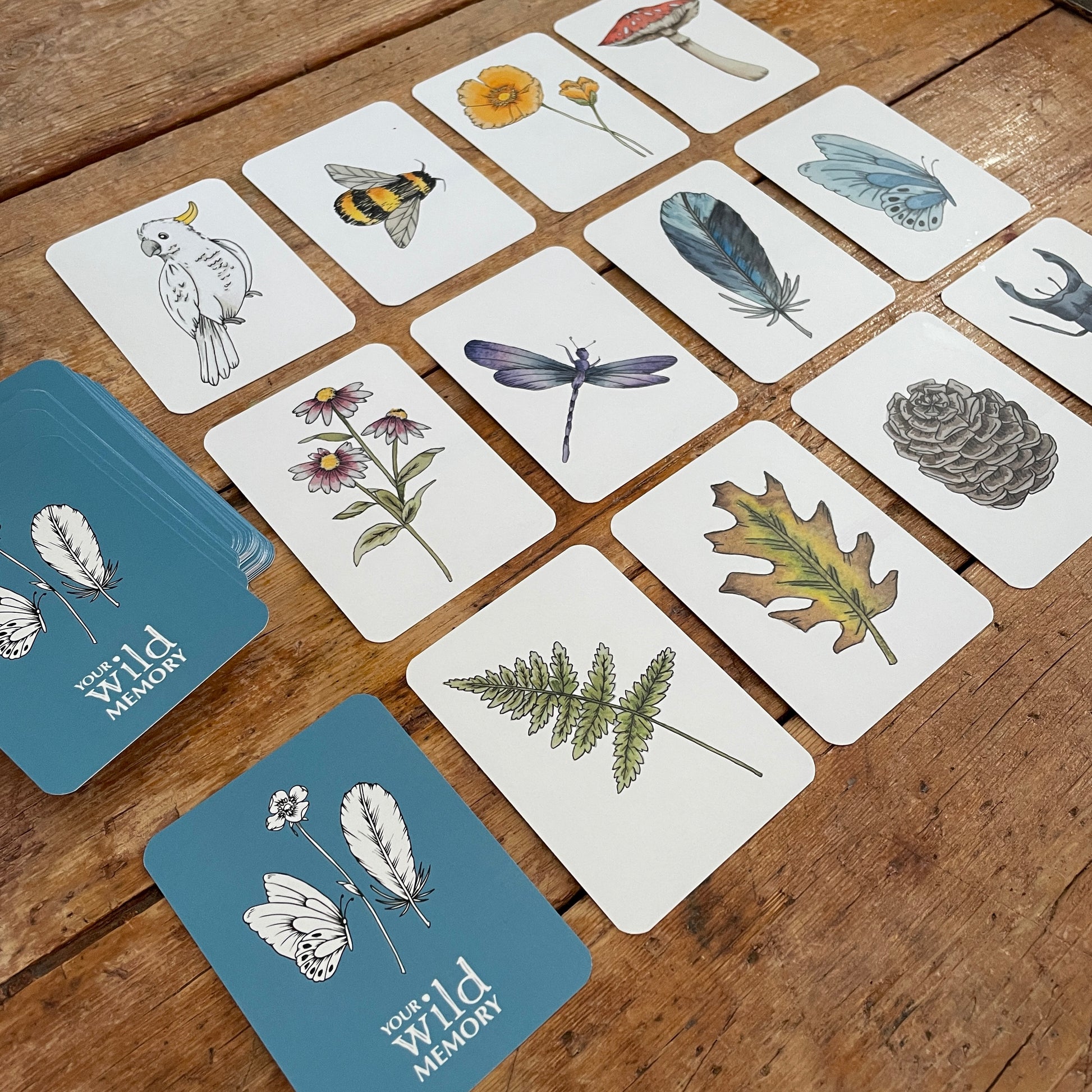 Your Wild Memory Card Game - Little Reef and Friends