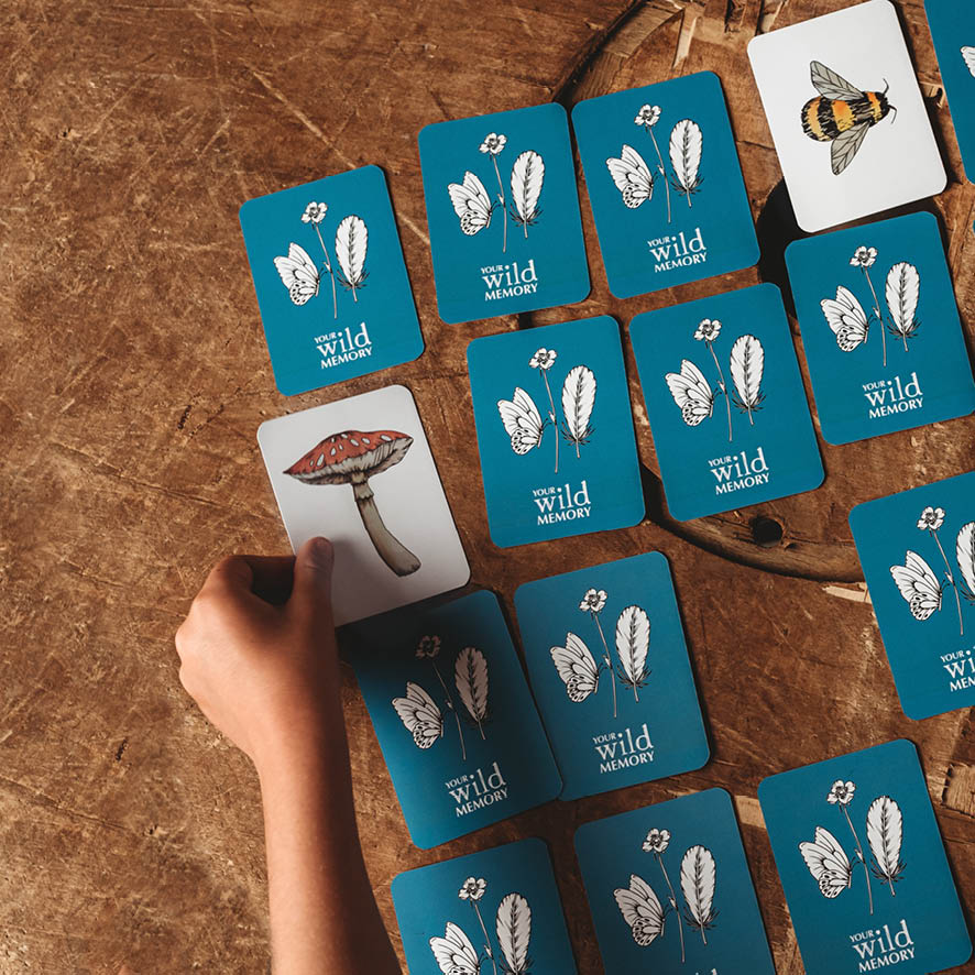 Your Wild Memory Card Game - Little Reef and Friends