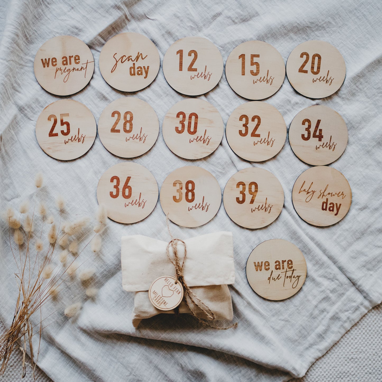 Wooden Pregnancy Milestone Discs - Little Reef and Friends