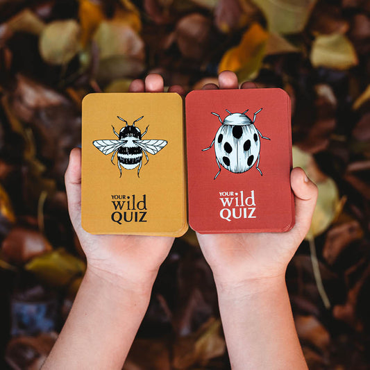 Your Wild Quiz Card Game - Little Reef and Friends