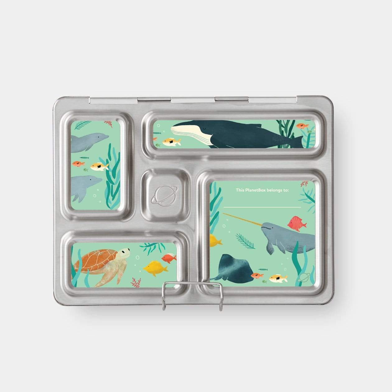 Rover Lunch Box Magnets - Little Reef and Friends