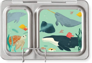 Shuttle Lunch Box Magnet - Little Reef and Friends