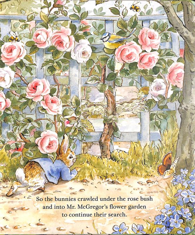 Peter Rabbit Lost Hat Peep-Inside Tale - Little Reef and Friends