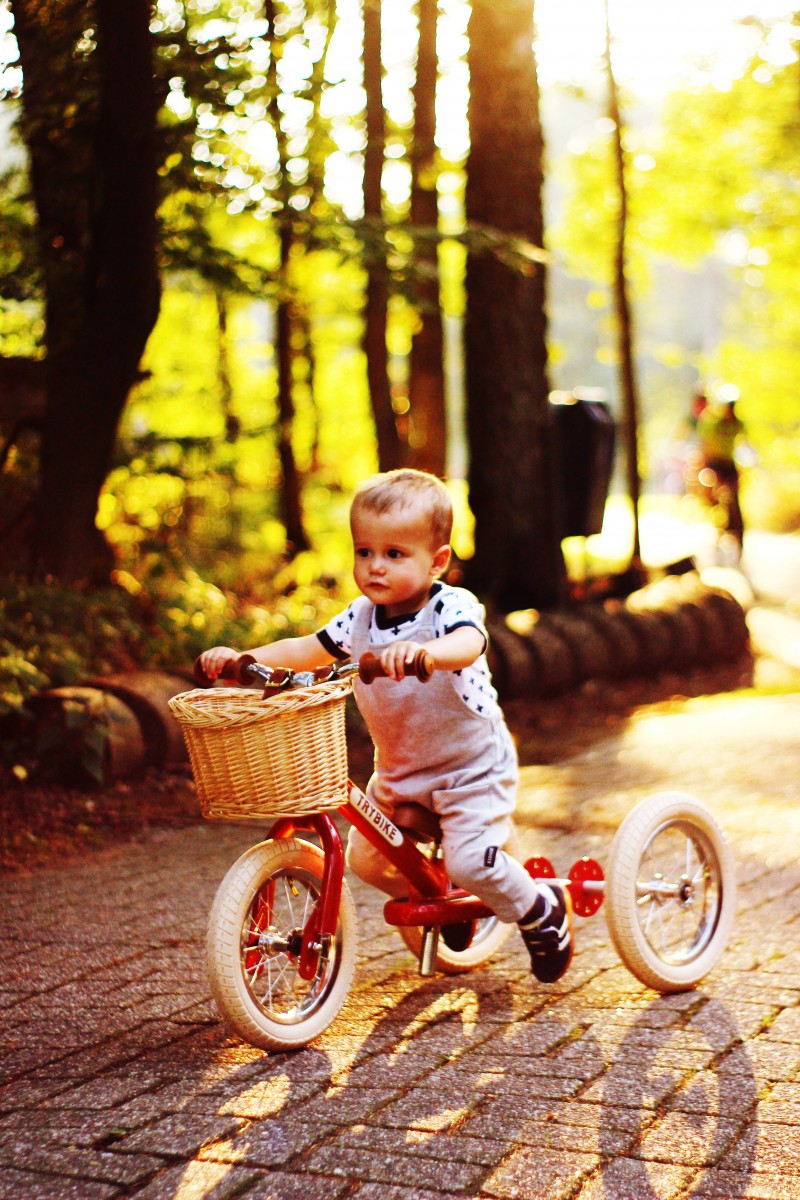 Trybike Steel 2-in-1 - Red Vintage - Little Reef and Friends