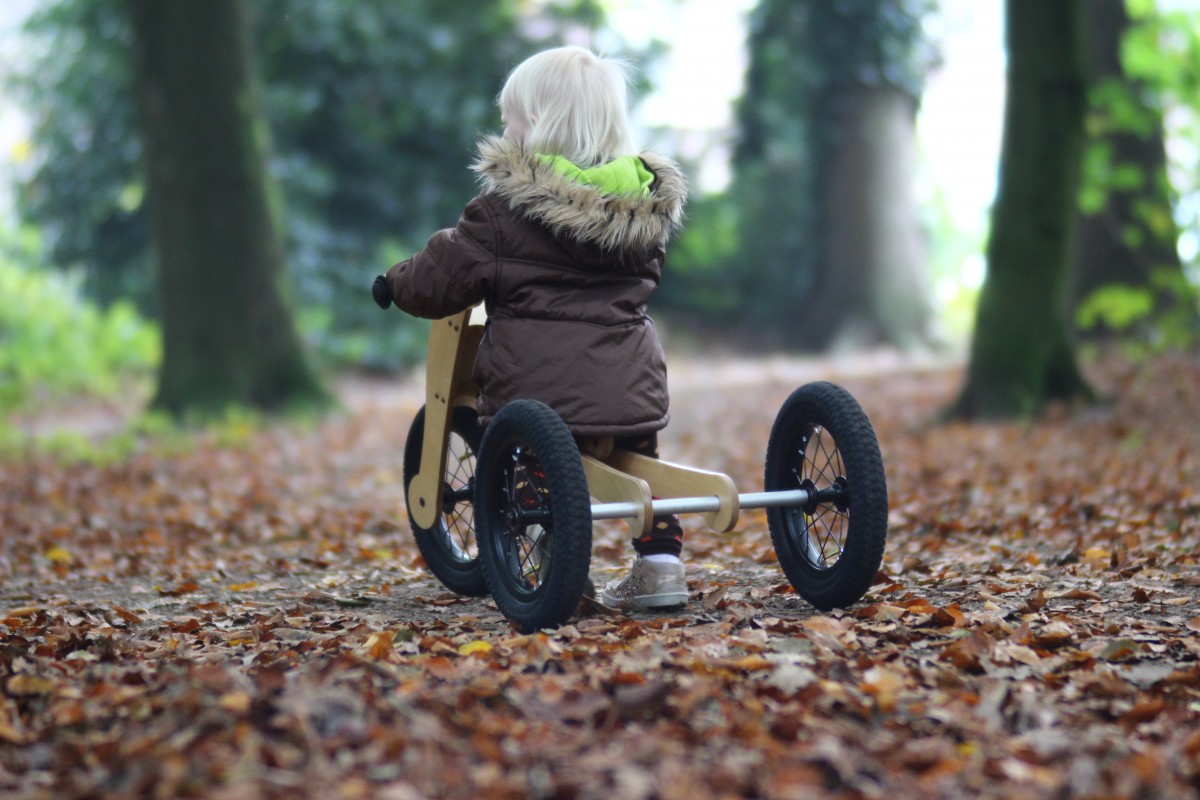 Trybike Wooden 4-in-1 - Little Reef and Friends