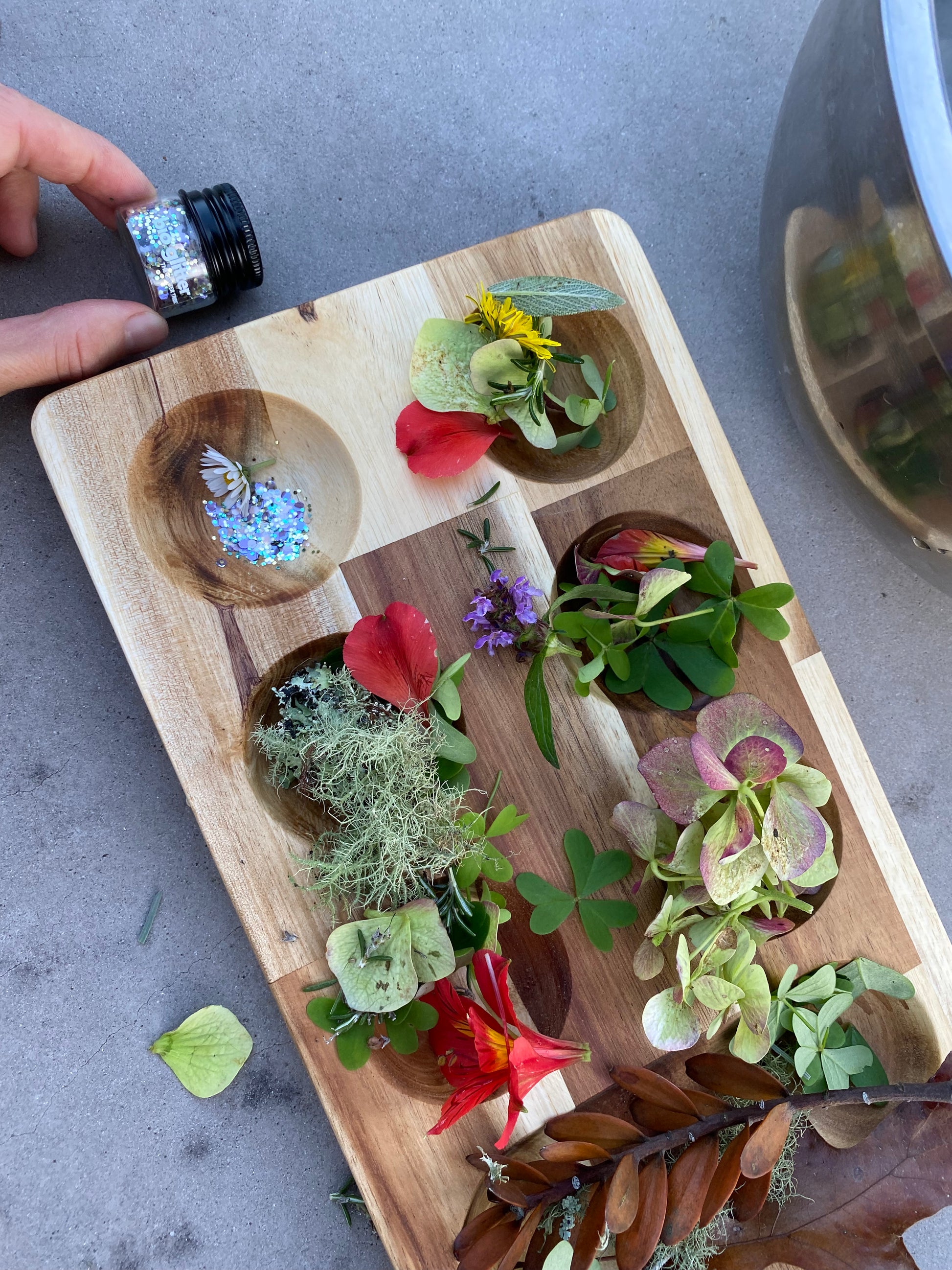 Montessori Sorting Tray - Little Reef and Friends