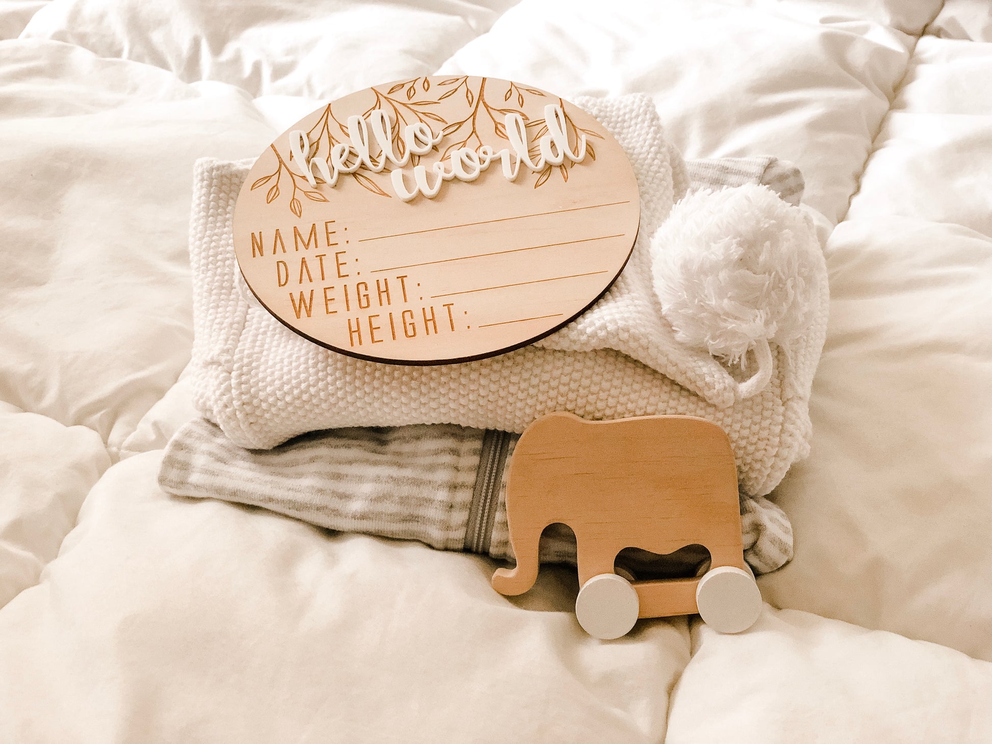 Wooden + Acrylic 'Hello World' Birth Announcement Disc - Little Reef and Friends