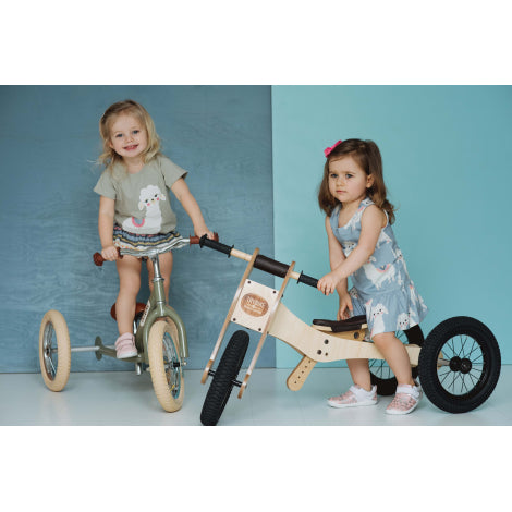 Trybike Wooden 4-in-1 - Little Reef and Friends
