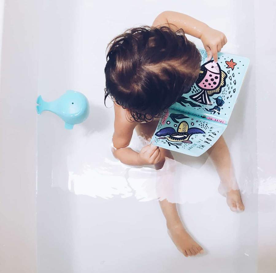 Who's in the Ocean? Colour Me Bath Book - Little Reef and Friends
